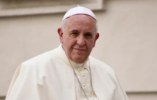 Pope Francis greets pilgrims in St. Peter's Square during the Wednesday general audience on May 28, 2014.   Daniel Ibáñez/CNA.