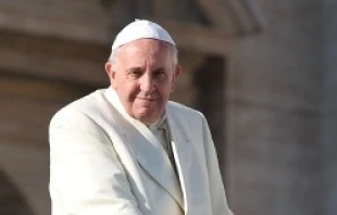 Pope Francis greets pilgrims in St. Peter's Square during the Wednesday general audience on Dec. 4, 2013   Kyle Burkhart/CNA