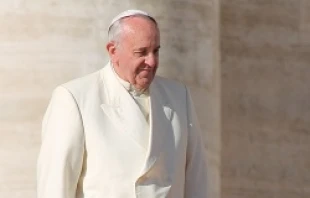 Pope Francis greets pilgrims in St. Peter's Square during the Wednesday general audience on Dec. 4, 2013   Kyle Burkhart/CNA