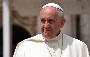 Pope Francis greets pilgrims in St. Peter's Square during the Wednesday general audience May 28, 2014.   Daniel Ibáñez/CNA.