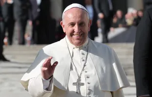 Pope Francis greets pilgrims in St. Peter's Square during the Wednesday general audience Nov. 19, 2014.   Bohumil Petrik