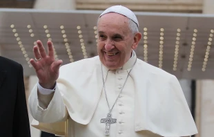Pope Francis greets pilgrims in St. Peter's Square during the Wednesday general audience on Nov. 26, 2014.   Bohumil Petrik/CNA.