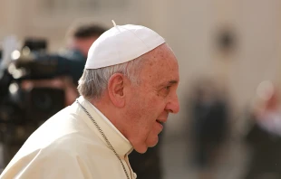 Pope Francis greets pilgrims in St. Peter's Square during the Wednesday general audience on Nov. 5, 2014.   Daniel Ibáñez/CNA.