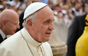 Pope Francis greets pilgrims in St. Peter's Square before the Wednesday general audience on June 25, 2014.   Daniel Ibanez/CNA.
