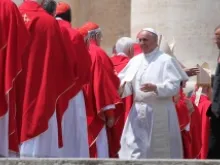 Pope Francis greets some of the cardinals who will concelebrate Pentecost Mass with him on May 19, 2013. 