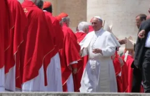 Pope Francis greets some of the cardinals who concelebrated Pentecost Mass with him on May 19, 2013.   Stephen Driscoll/CNA.
