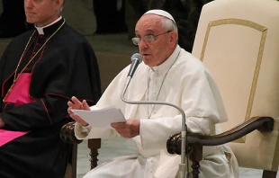 Pope Francis holds an audience with students from Jesuit-run schools in Italy and Albania in Paul VI Hall June 7, 2013   Lauren Carter/CNA