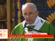 Screenshot: Pope Francis delivers his homily at Ñu Guazú field in Paraguay 