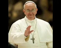 Pope Francis in Paul VI Hall during an audience on March 16, 2013. ?w=200&h=150