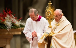 Pope Francis in St. Peter's Basilica Dec. 31, 2017.   Daniel Ibanez/CNA.