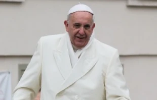 Pope Francis in St. Peter's Square during the Wednesday general audience on Nov. 27, 2013.   Kyle Burkhart/CNA.