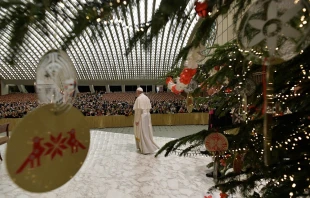 Pope Francis in the Pope Paul VI hall Dec. 21, 2019.   Vatican Media.