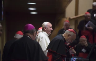 Pope Francis in the Synod Hall in the Vaitcan on Oct. 21, 2015.   L'Osservatore Romano.