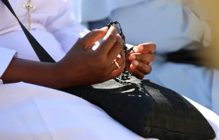 Pope Francis leads pilgrims in praying for the victims of an earthquake in Italy during his Aug. 24, 2016, general audience.   Daniel Ibañez/CNA.