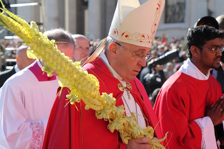 Pope Francis leads procession of palms in St. Peter's Square on Palm Sunday March 29, 2015. ?w=200&h=150