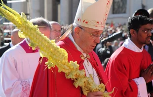 Pope Francis leads procession of palms in St. Peter's Square on Palm Sunday March 29, 2015.   Bohumil Petrik/CNA.