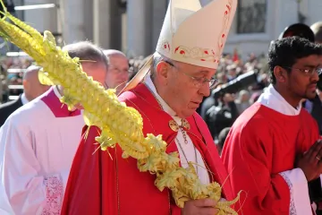 Pope Francis leads procession of palms in St Peters Square on Palm Sunday March 29 2015 Credit Bohumil Petrik CNA