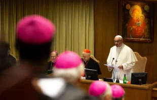 Pope Francis speaks inside the synod hall of the Vatican.   CNA.