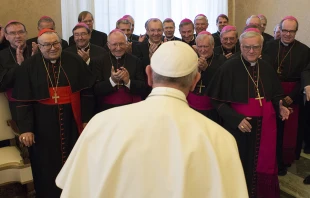 Pope Francis meets with the bishops of Germany during their ad limina visit to the Vatican, Nov. 20, 2015.   L'Osservatore Romano.