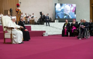 Pope Francis meets with adherents to the Service for the Parish Cells of Evangelisation in the Vatican's Paul VI Hall, Nov. 18, 2019.   Vatican Media.