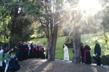 Pope Francis prays during the inaguration of the statue of Our Lady of Aparecida in the Vatican Gardens Sept 3 2016 Credit Maria Ximena Rondon CNA