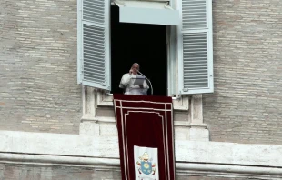 Pope Francis prays the Angelus with pilgrims in St Peter's Square Jan. 10, 2016.   Alexey Gotovsky/CNA.