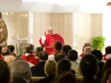 Pope Francis preaches at the June 5, 2013 morning Mass in St. Martha's House chapel. 
