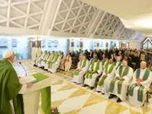 Pope Francis preaches during the May 27, 2013 Mass in Saint Martha's House. 