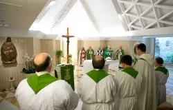 Pope Francis presides over Mass on June 9, 2013 in the chapel of St. Martha's House. ?w=200&h=150