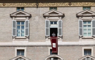 Pope Francis prays the Angelus with pilgrims in St. Peter's Square Oct. 4, 2015.   Martha Calderon/CNA.