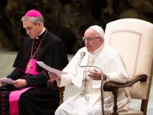 Pope Francis speaks at the general audience Jan. 9, 2019. 