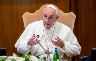 Pope Francis speaks at the opening of the Amazon synod Oct. 7, 2019.   Daniel Ibáñez/CNA.