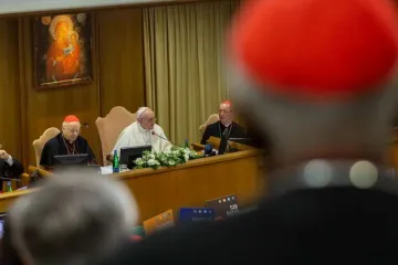 Pope Francis speaks in the synod hall Oct 7 2019 Credit Daniel Ibanez CNA