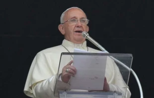 Pope Francis speaks to the crowd gathered in St. Peters Square June 15, 2015.   L'Osservatore Romano.