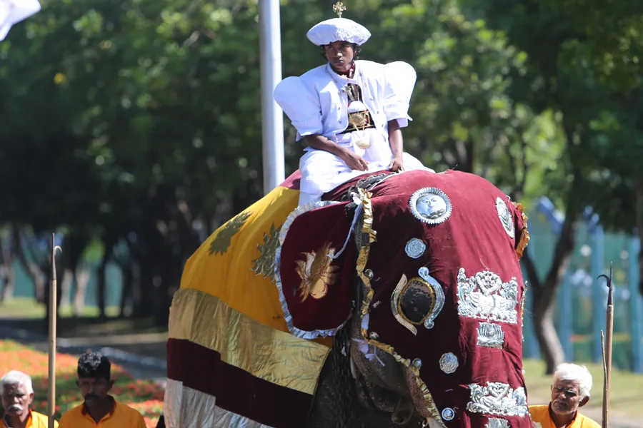 Pope Francis was greeted by 40 elephants upon his arrival in Colombo, Sri Lanka on Jan. 13, 2015. ?w=200&h=150