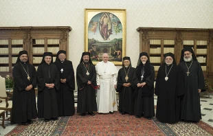 Pope Francis meets with the bishops of the Coptic Catholic Church at the Vatican, Feb. 6, 2017.   L'Osservatore Romano.