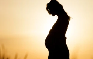 Alex Krisan/Shutterstock