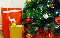 Presents under the Christmas tree. ?w=200&h=150