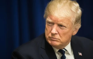 President Donald Trump.    Drop of Light, Shutterstock