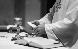 l i g h t p o e t/Shutterstock.