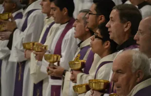 Priests at the Nov. 30 Mass opening the Year for Consecrated Life.   Bohumil Petrik/CNA.