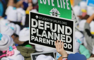 The March for Life in Washington, D.C., Jan. 19, 2018.   Jonah McKeown/CNA.