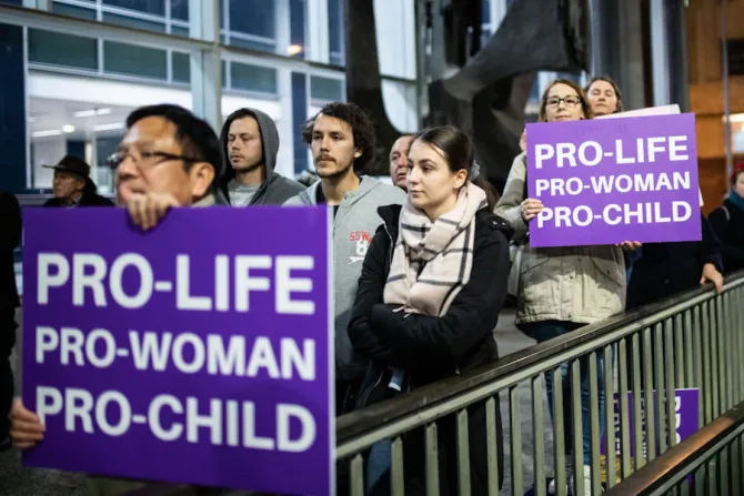 Pro life rally opposing NSW abortion bill Credit James Gourley  Getty Images