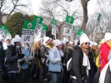 March for Life in Washington, D.C. 2011