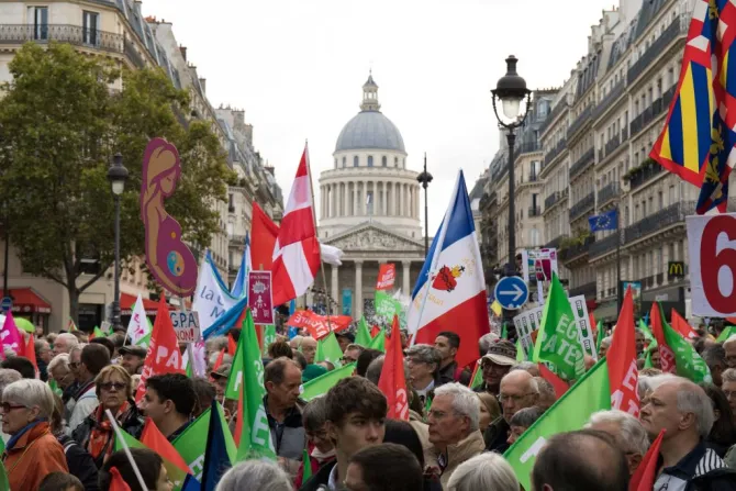 Protesters wave flags and hold signs as they take part in a demonstration against a government plan to let single women and lesbians become pregnant with fertility treatments Oct 6 2019 near the Pantheon in Paris