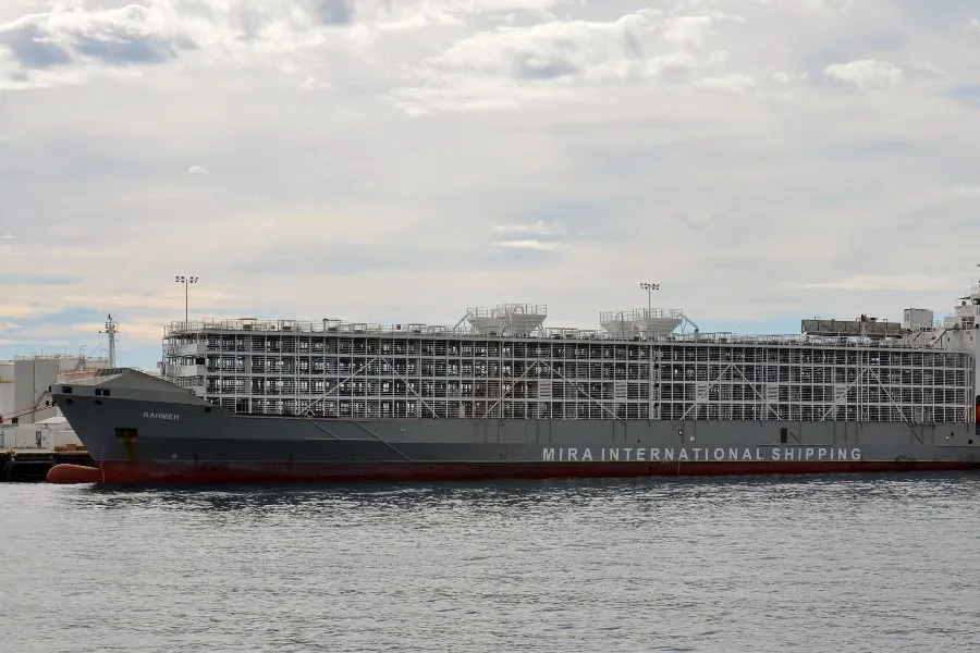 The livestock carrier Gulf Livestock 1, pictured in 2016. ?w=200&h=150
