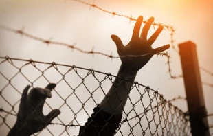 Mikael Damkier via Shutterstock.