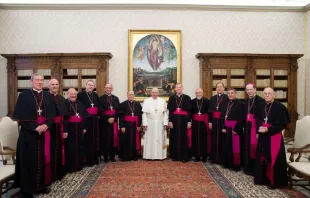Pope Francis meets with bishops of the USCCB's Region XIII at the Vatican, Feb. 10, 2020.   Vatican Media.