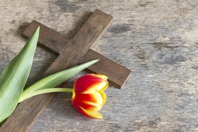 Resurrection cross tulip Easter Credit udra11 Shutterstock CNA