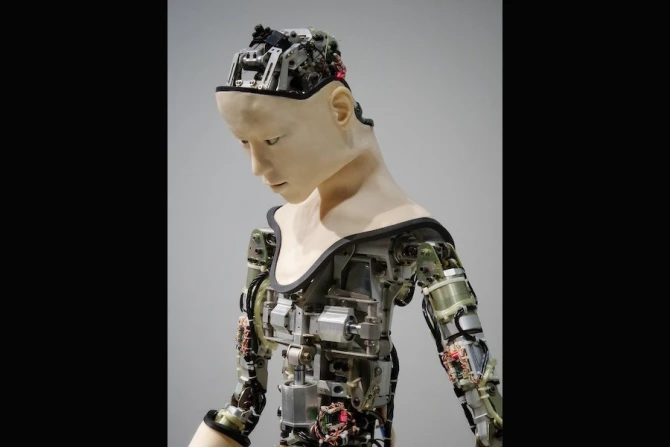 Robot Credit  Frank V   Unsplash